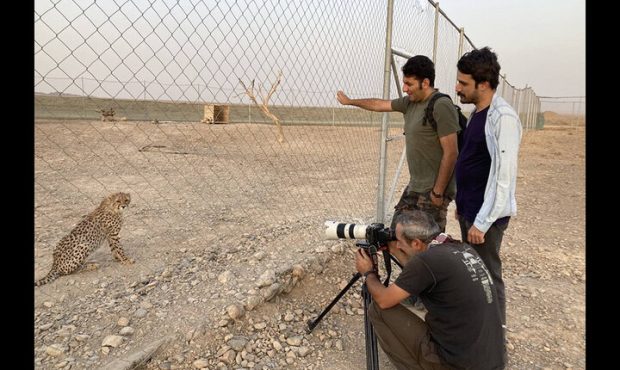 حداقل دستمزد کارگردانی مستند اعلام شد حداقل دستمزد کارگردانی مستند اعلام شد