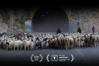 راهیابی «مرثیه‌ای برای ایل» به جشنواره‌ای در جمهوری چک
