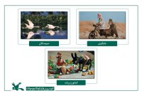 فیلم «شتر و آسیابان» در مراکش اکران می‌شود