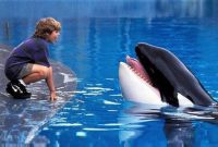 پخش ویژه «برادران داسلر» و «نهنگ آزاد» از شبکه نمایش