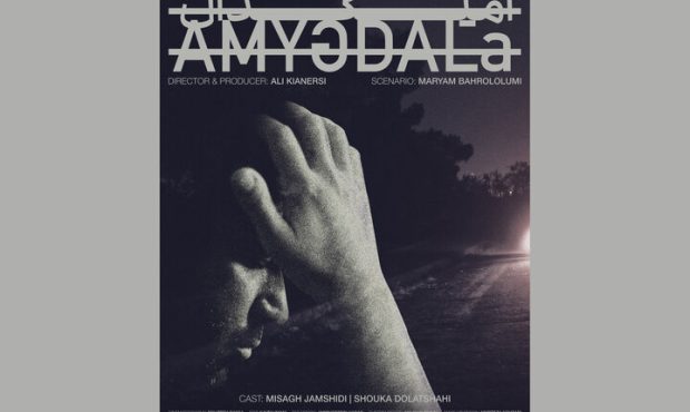 فیلم کوتاه «آمیگدال» آماده نمایش شد