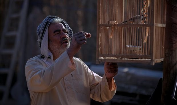 رونمایی از نخستین عکس سروش صحت و سعید آقاخانی در «پل»