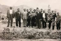 «جنگل قائم»؛ روایتی از قدرت همدلی و مشارکت مردمی