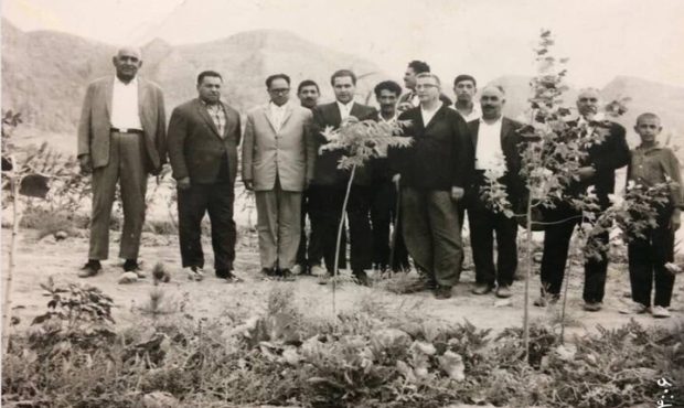 «جنگل قائم»؛ روایتی از قدرت همدلی و مشارکت مردمی